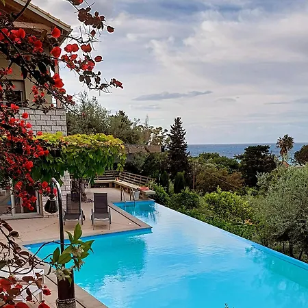 Arenaria L. Complex 别墅