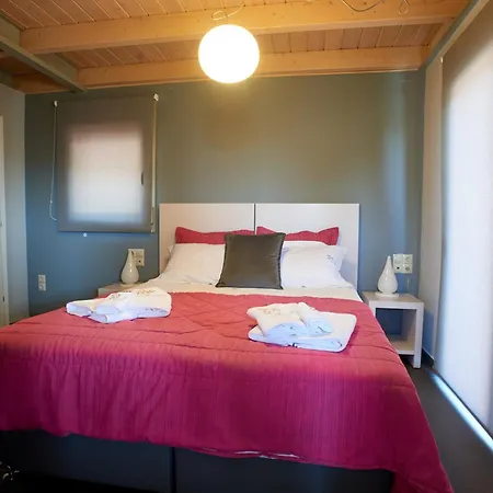 Arenaria L. Complex * 圣爱奥尼斯米科