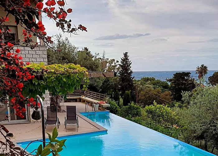 Arenaria L. Complex Villa